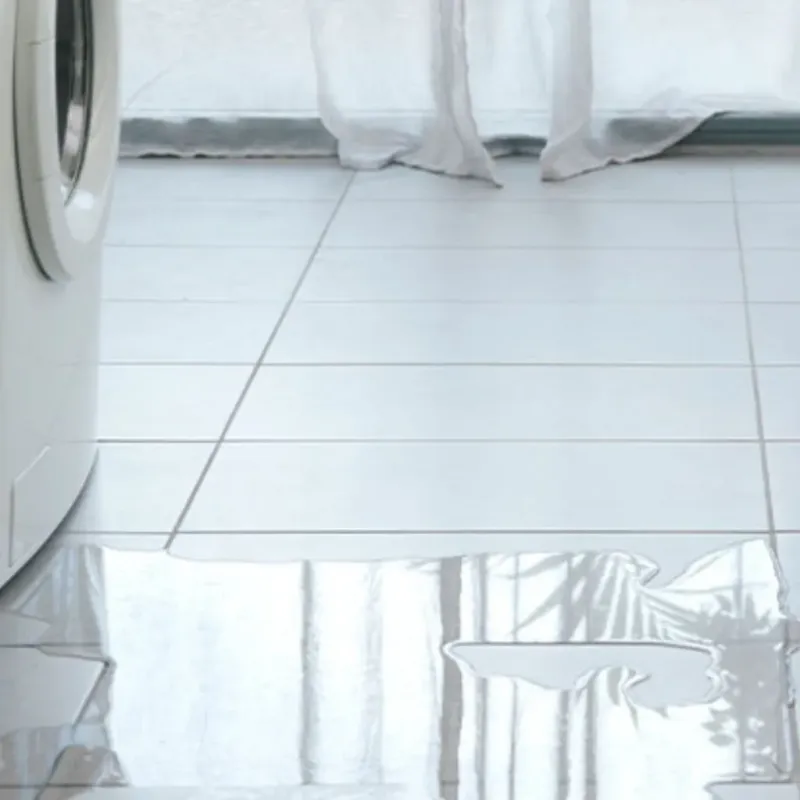 Appliance Leak Cleanup in Rosedale, WA