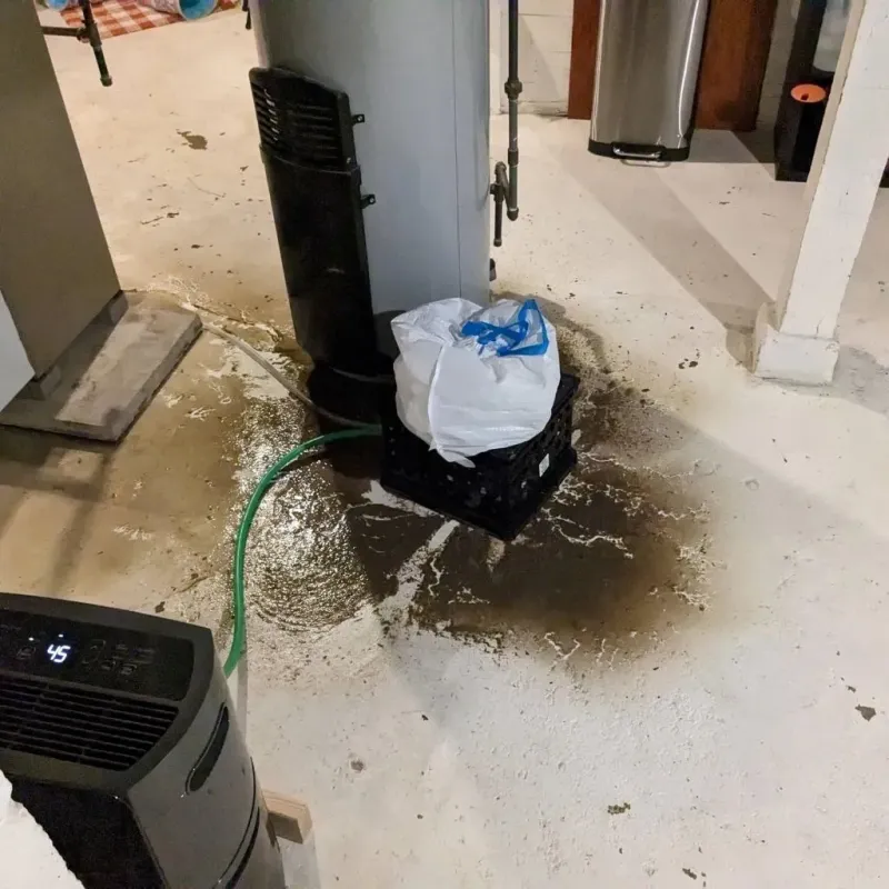 Sewage Backup Cleanup Service in Rosedale, WA